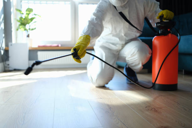 Reliable Odor Removal contractor in Pawcatuck, CT by Trauma Clean Pros